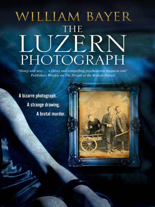 Upplýsingar um The Luzern Photograph eftir William Bayer - Til útláns